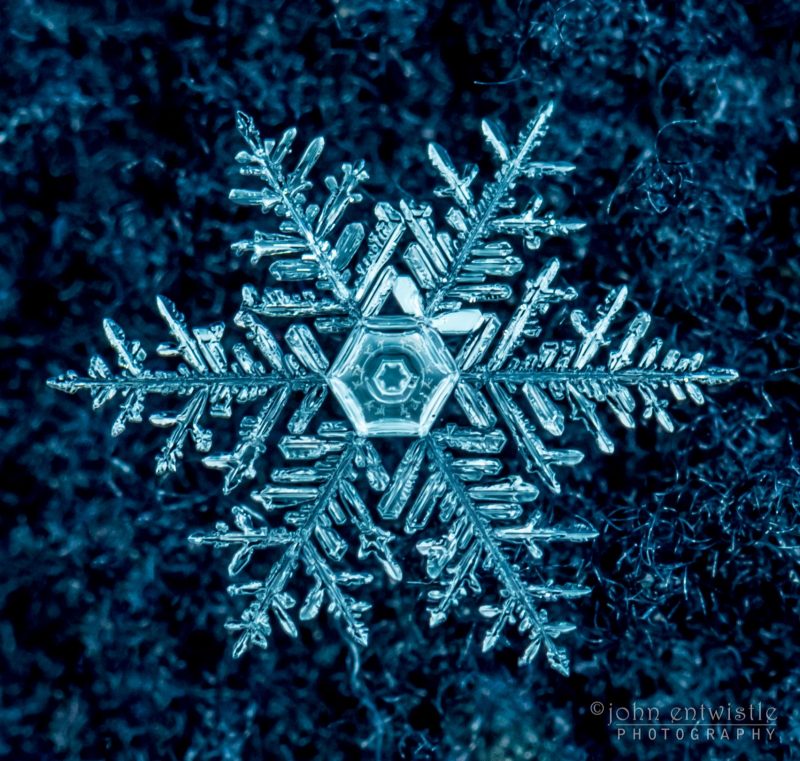 Snowflake Photo taken from <a href="https://earthsky.org/earth/best-snowflakes-photos-from-earthsky-friends" target="_blank" rel="noopener">https://earthsky.org</a>